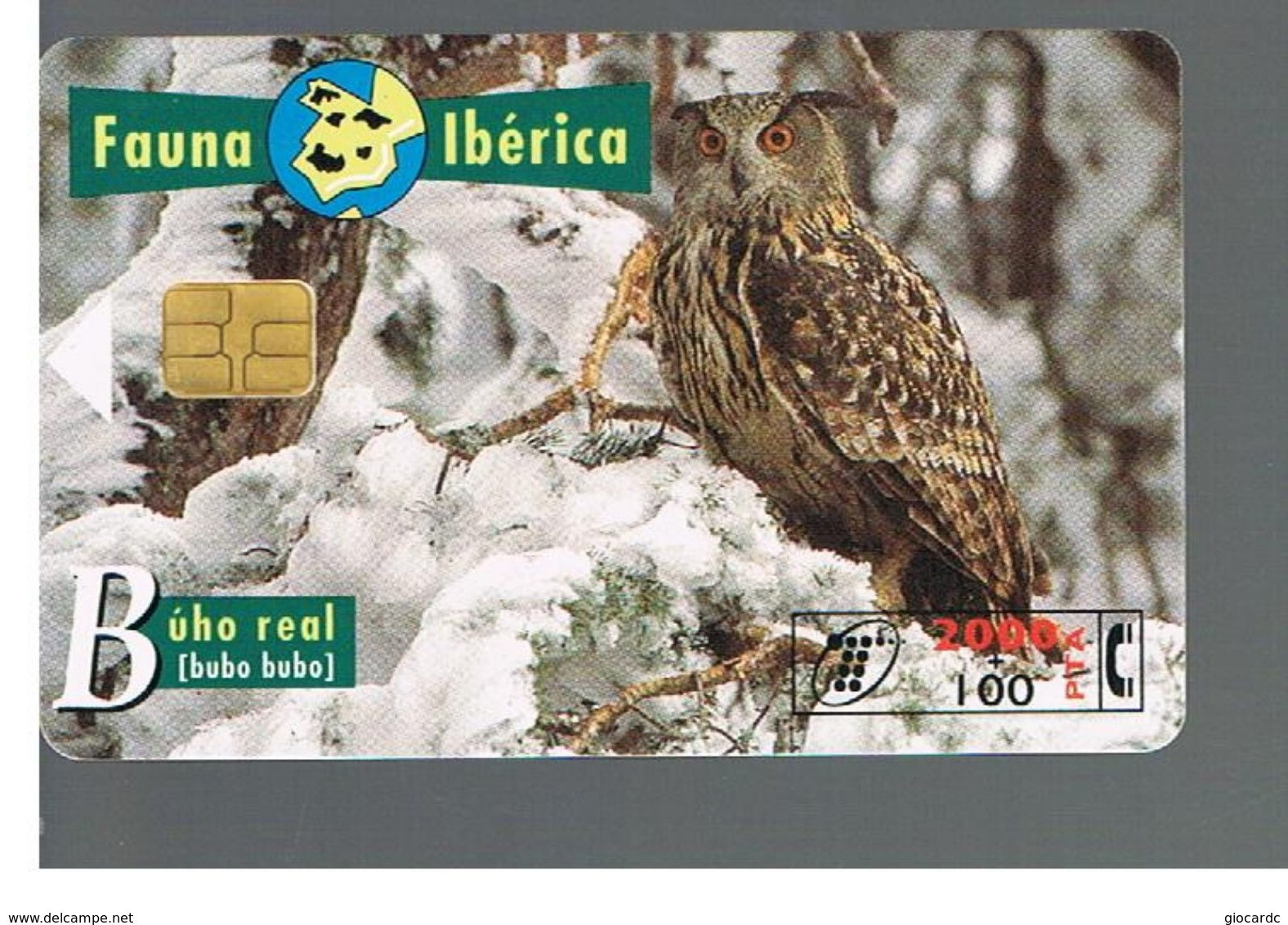 SPAGNA (SPAIN) - TELEFONICA  (CHIP) -  FAUNA IBERICA: BUBO BUBO        - USED - RIF. 10008 - Búhos, Lechuza