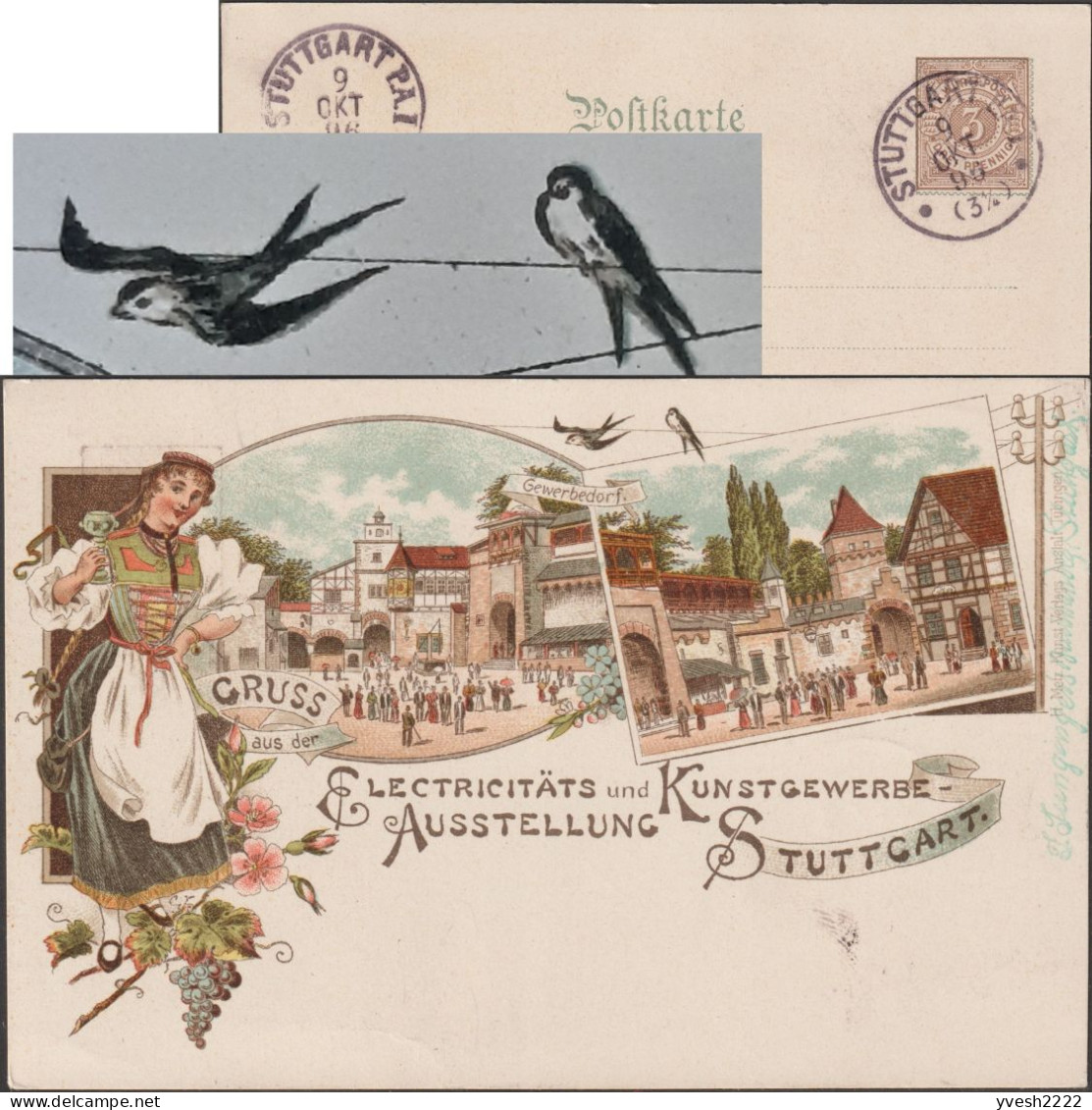 Wurtemberg 1896. Entier Postal Timbré Sur Commande. Exposition D'électricité, Raisins, Roses, Hirondelles Sur Câble - Swallows