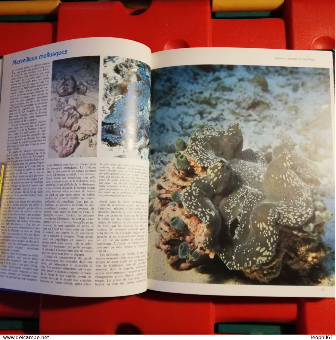 Encyclopedie Cousteau La Planète Océan - Encyclopaedia
