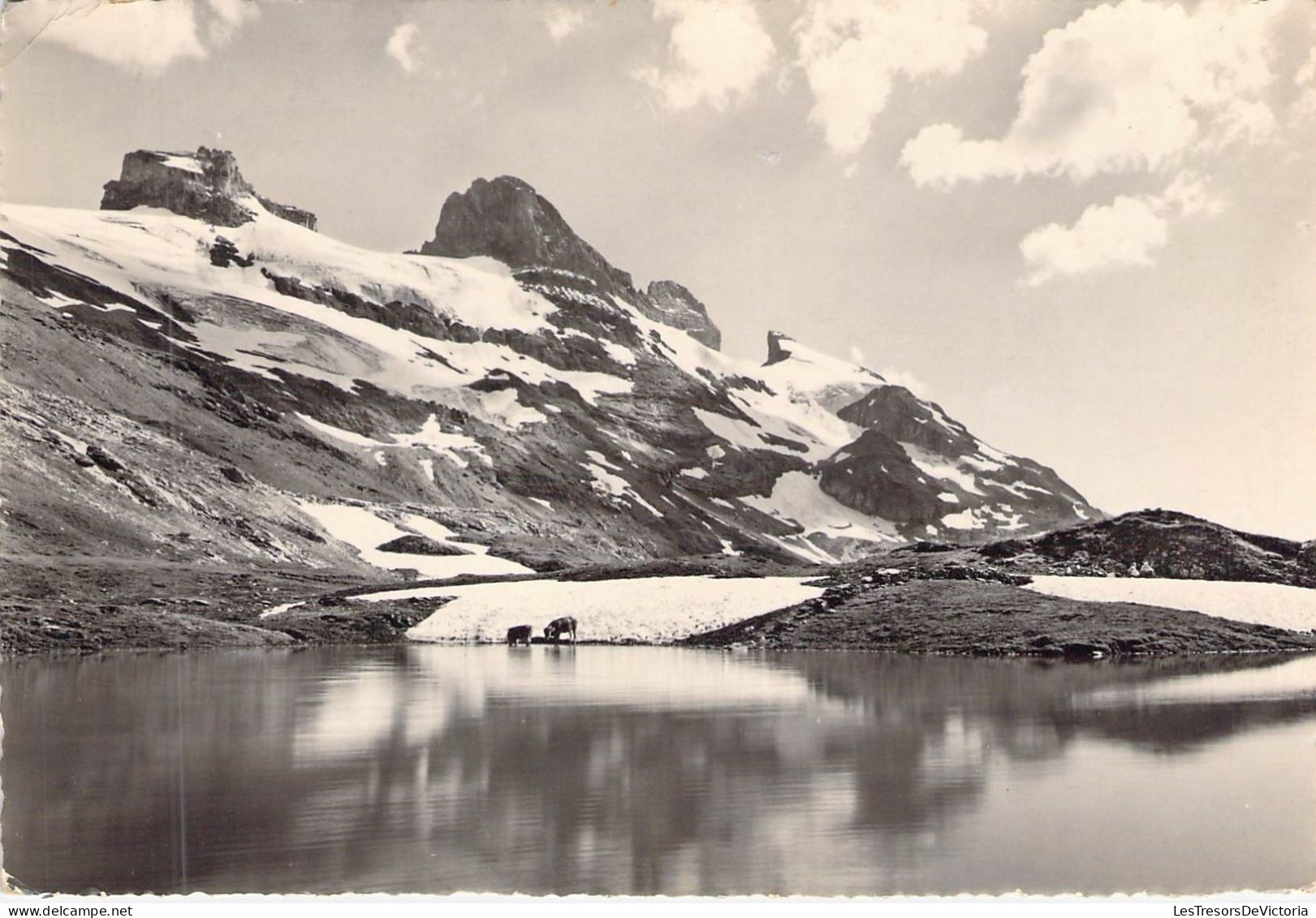 SUISSE - ENGELBERG - Auf Dem Jochpass 2222 M Blick Auf Die Wendenstocke - Carte Postale Ancienne - Engelberg