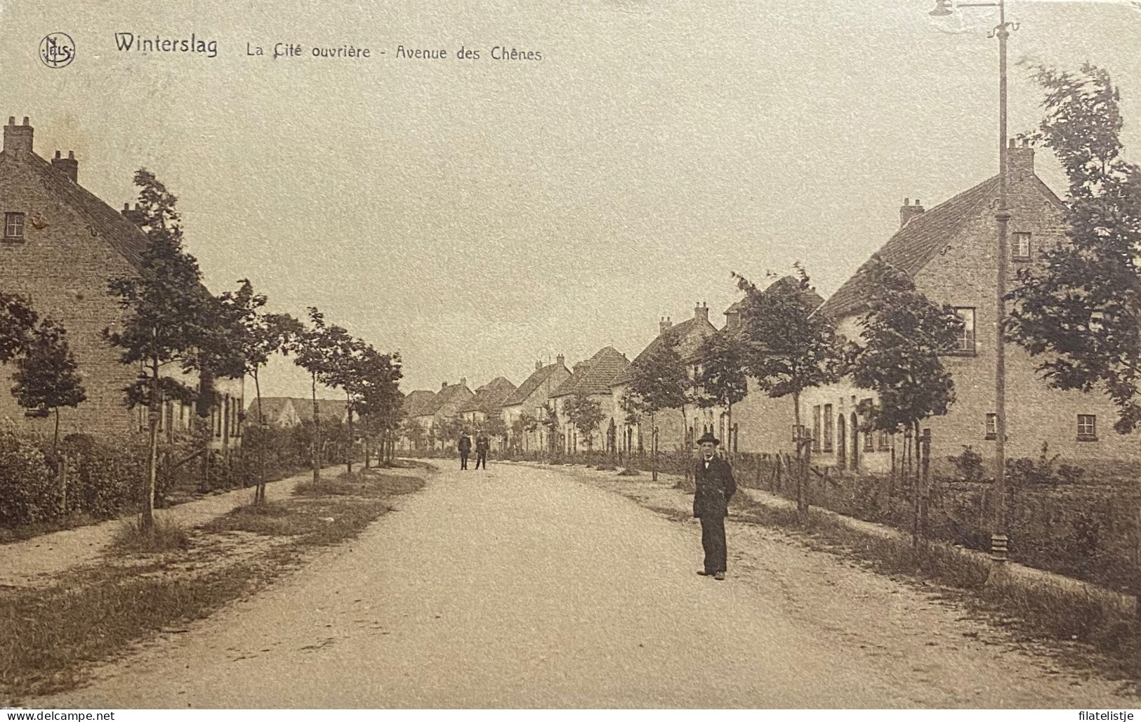 Winterslag Avenue Des Chenes - Genk