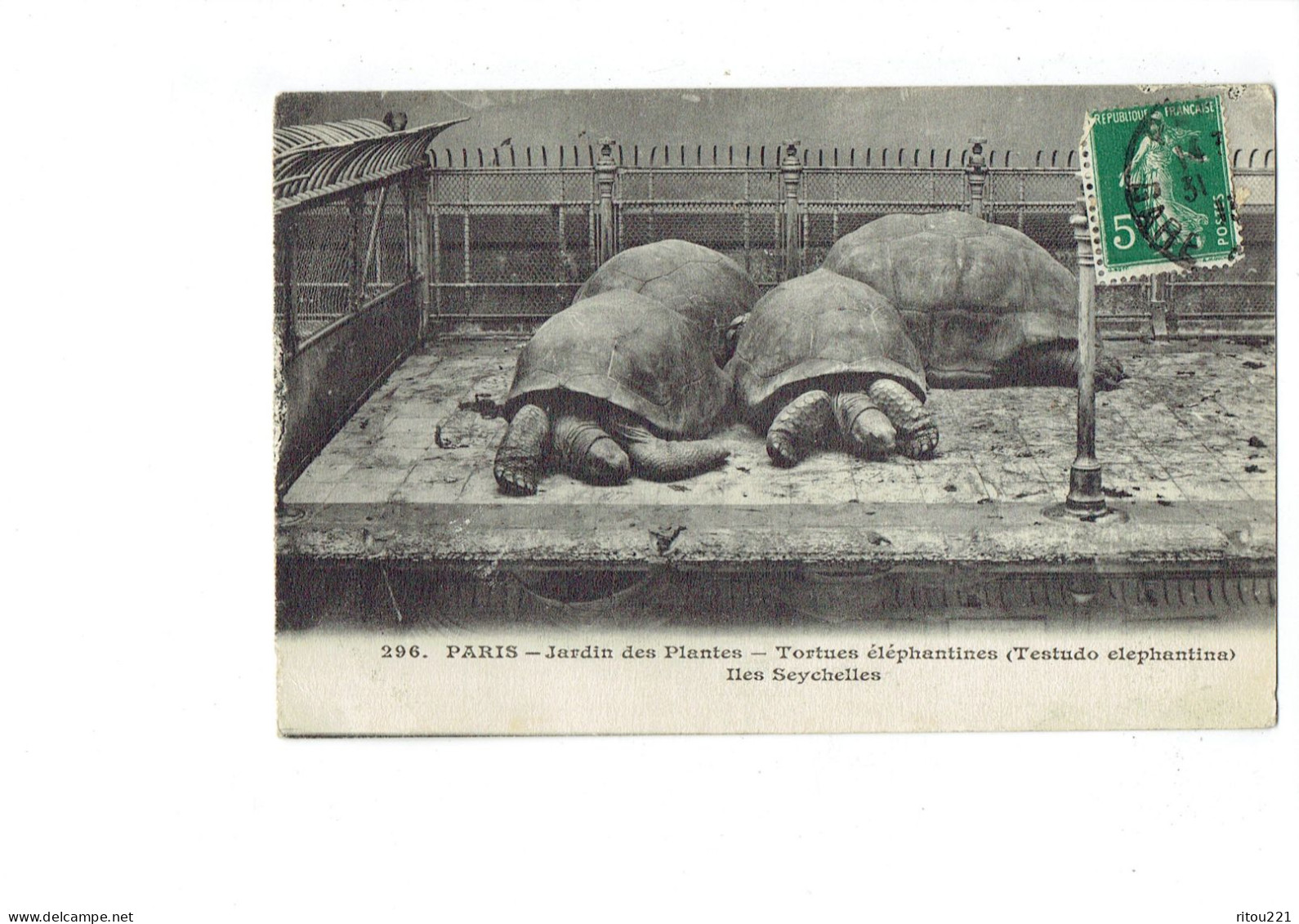 Cpa - Paris - Jardin Des Plantes - Tortues éléphantines (Testudo Elephantina). Iles Seychelles - N°296 Photo Mécanique - Tortues