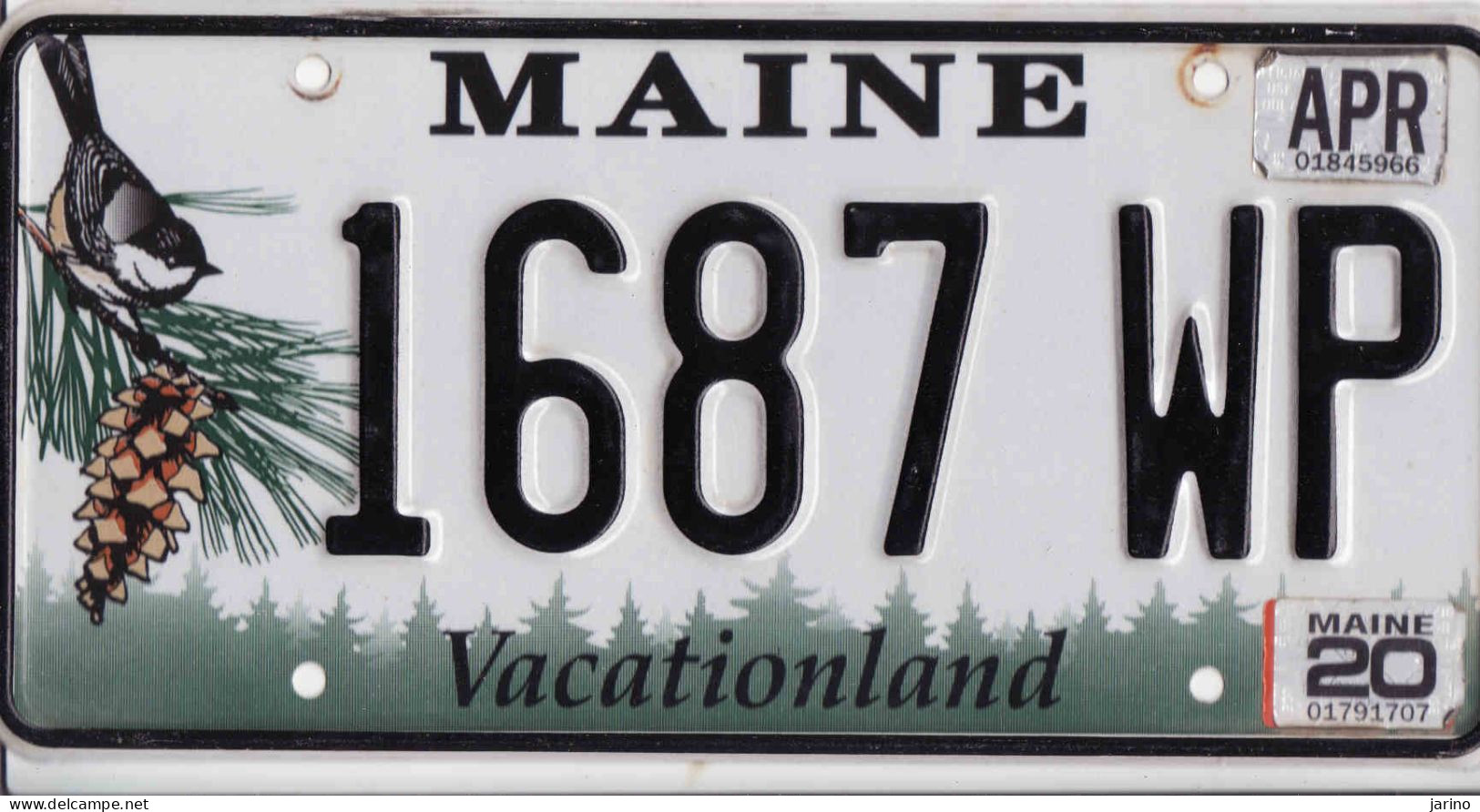 Plaque D' Immatriculation USA - State Maine, USA License Plate - State Maine, 30,5 X 15 Cm, Fine Condition - Number Plates