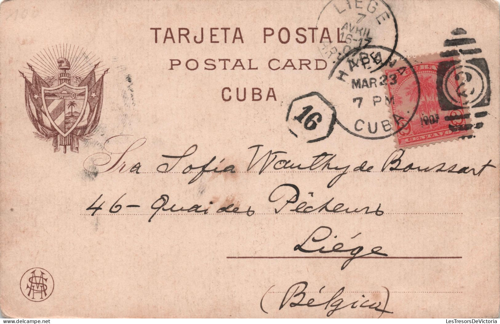 Antilles - CUBA - Habana Escogida De Pinas - Pineapple Choice - Edicion Jordi - Carte Postale Ancienne - Cuba
