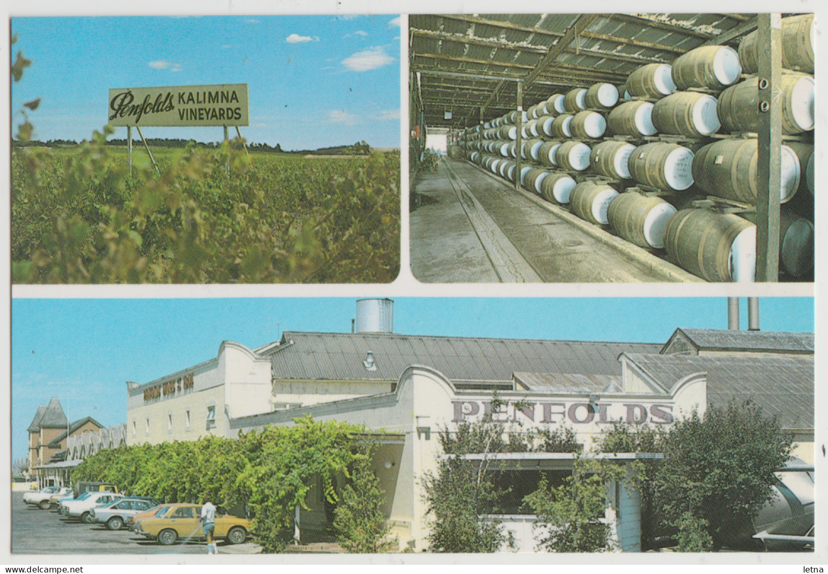 SOUTH AUSTRALIA SA Penfolds Wineries NURIOOTPA & KALIMNA Murfet BD628 Postcard C1970s - Otros & Sin Clasificación