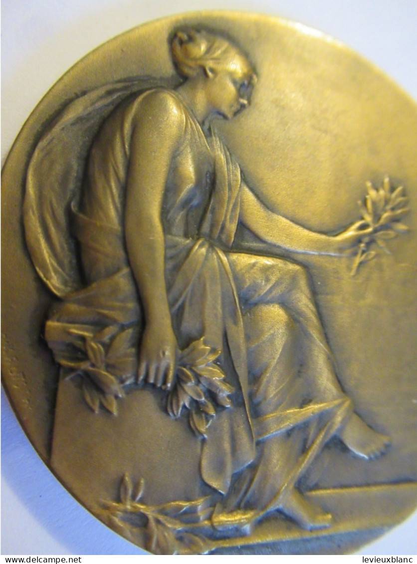Médaille De Table/ Bronze/UNION Départementale Des Délégations Cantonales/ Seine & Oise/Vers 1920-1950         MED435 - Sonstige & Ohne Zuordnung