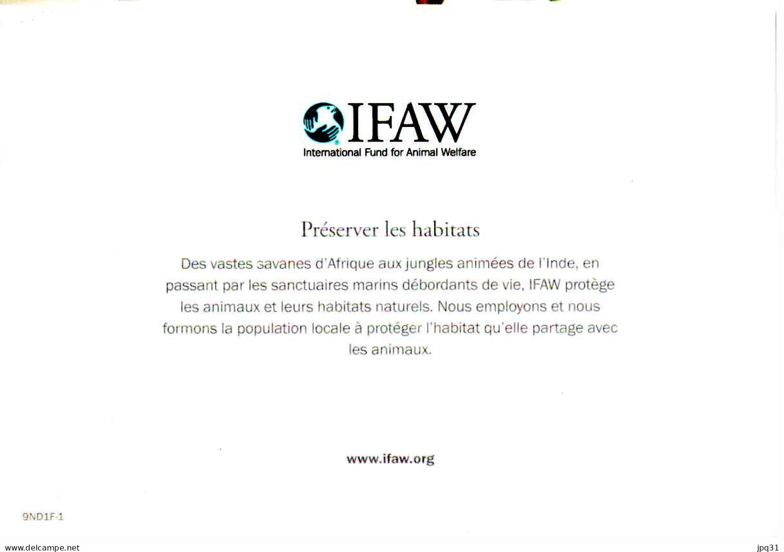 Carte Double IFAW Préserver Les Habitats - Girafe - Ref 9ND1F-1 - Jirafas