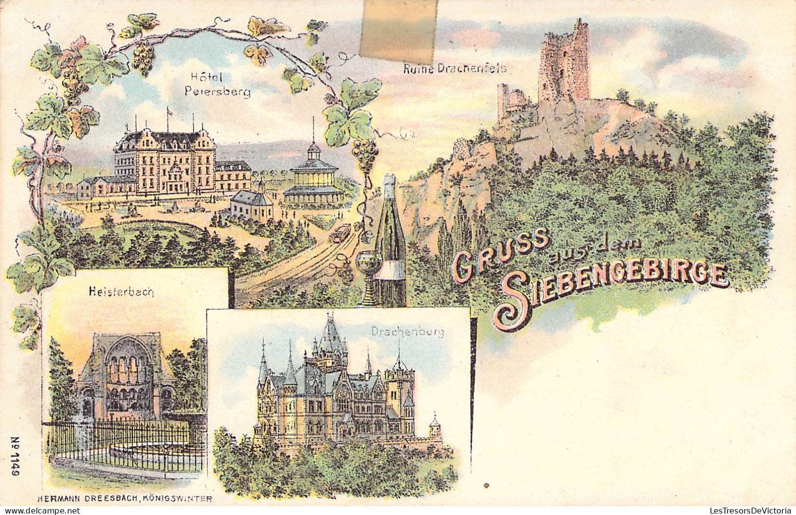 Allemagne - Gruss Aus Dan Siebengebirge - Multivue - Colorisé -   - Carte Postale Ancienne - Koeln