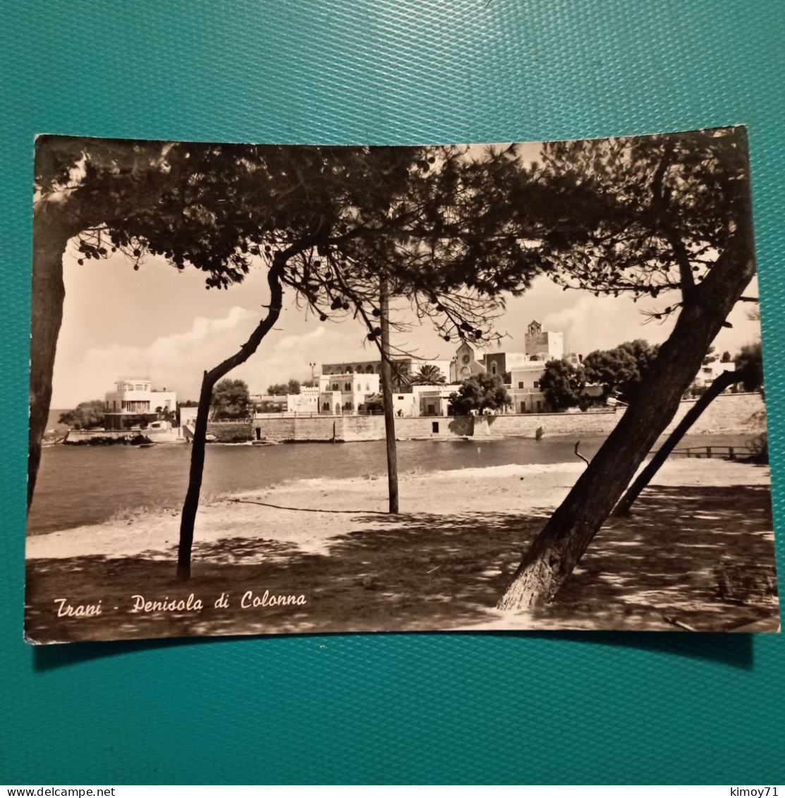 Cartolina Trani - Penisola Di Colonna. Viaggiata 1963 - Trani