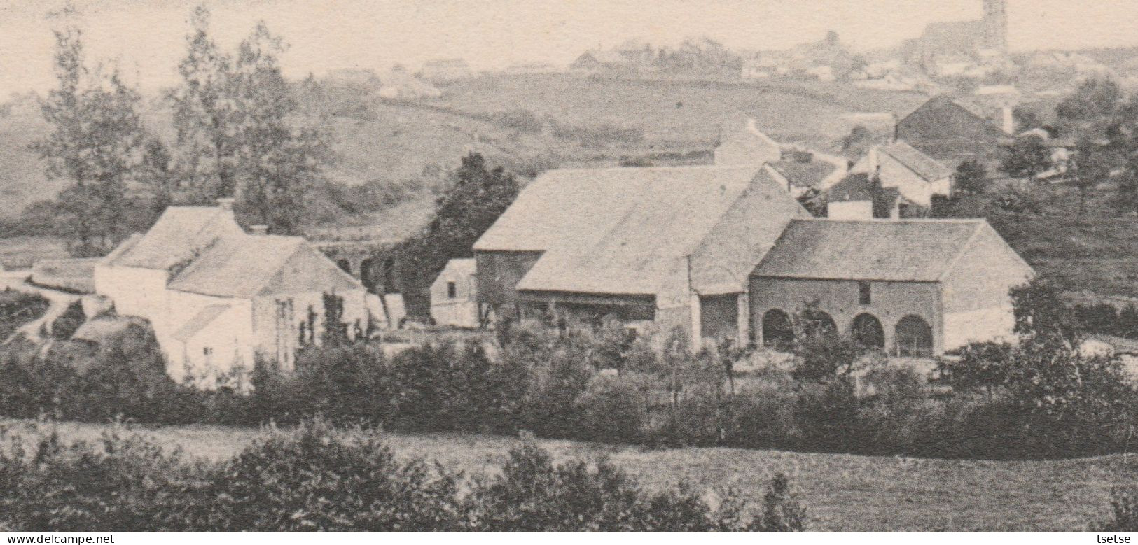 Froidchapelle - Vue Du Moulin ( Voir Verso ) - Froidchapelle