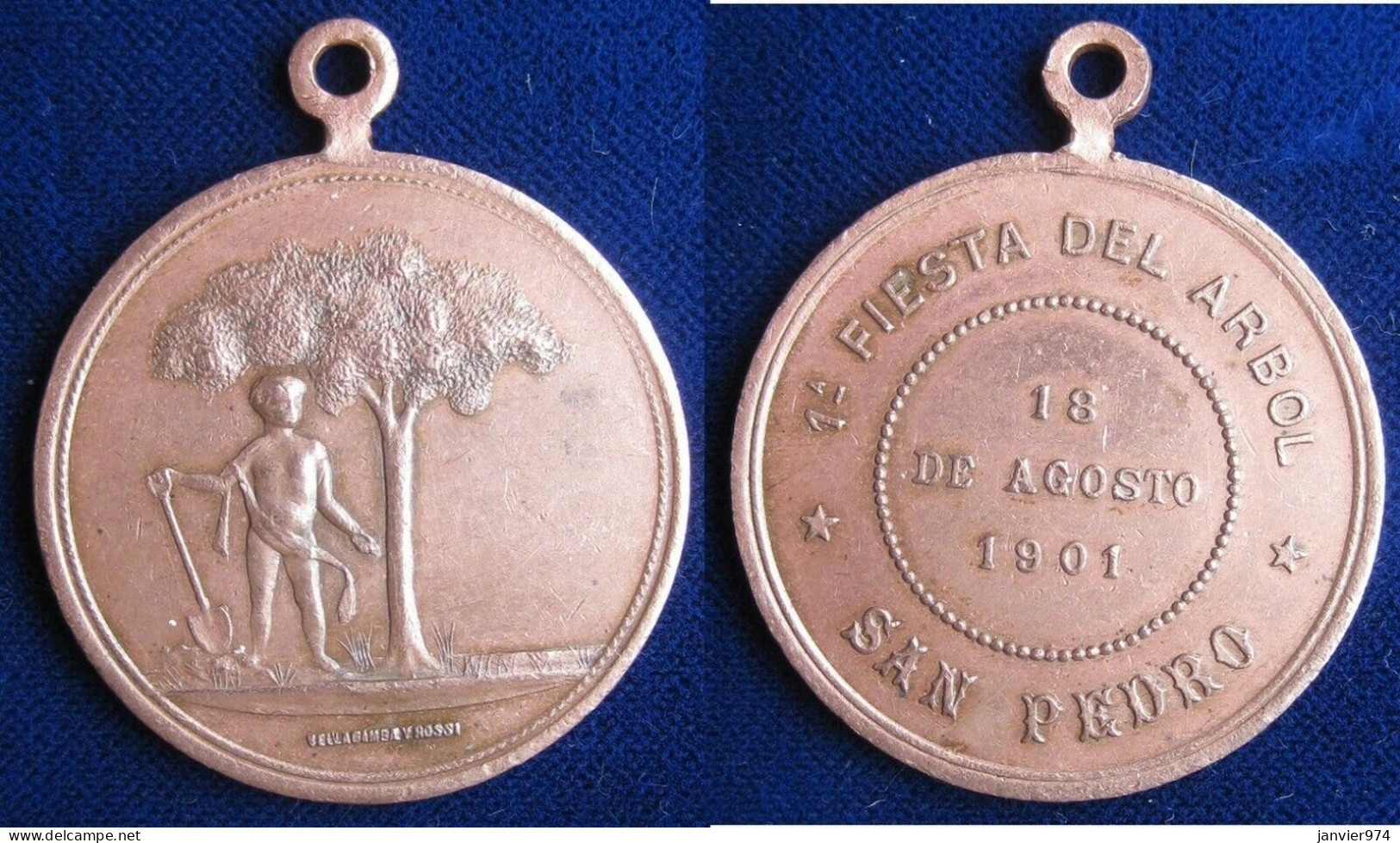 Argentine Médaille En Cuivre 1e Fiesta Del Arbol 1901 San Pedro - Otros & Sin Clasificación