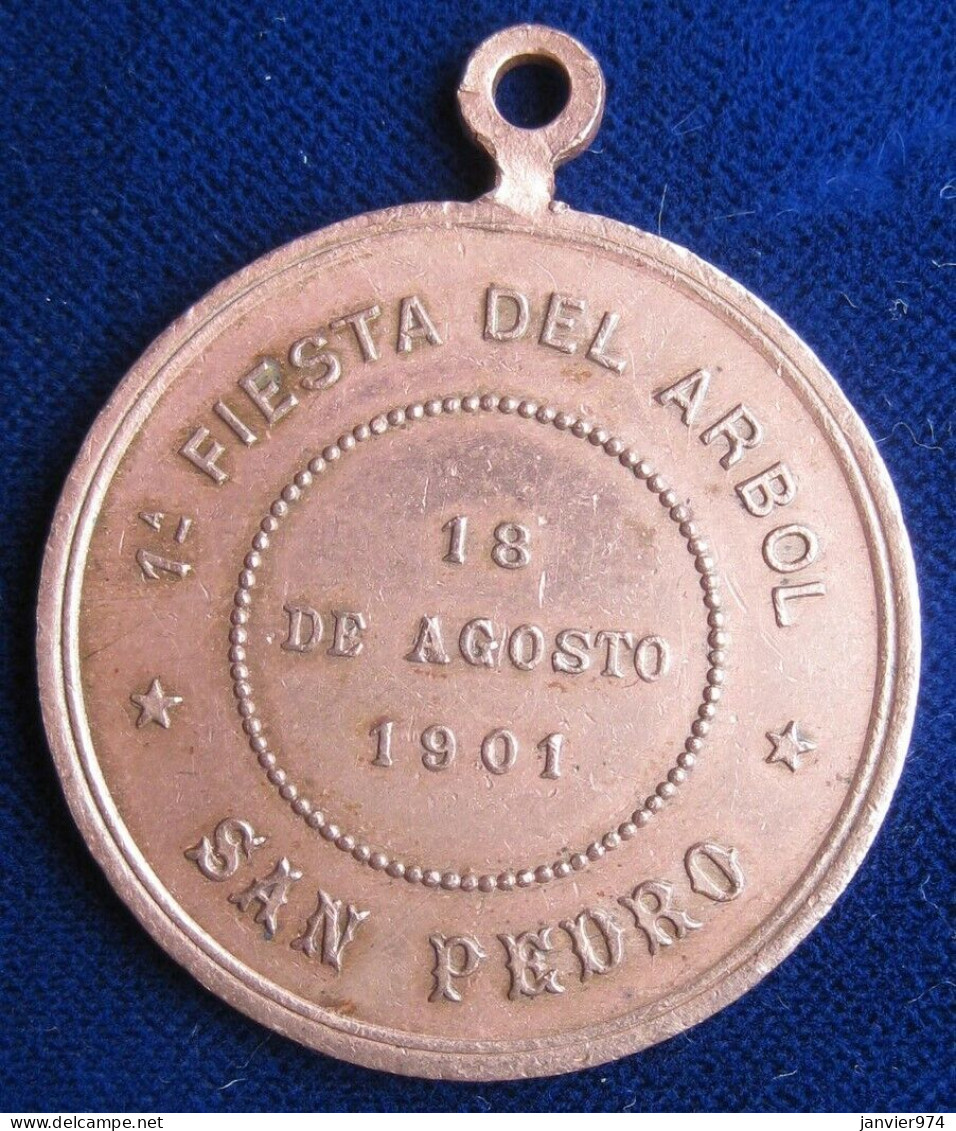 Argentine Médaille En Cuivre 1e Fiesta Del Arbol 1901 San Pedro - Autres & Non Classés
