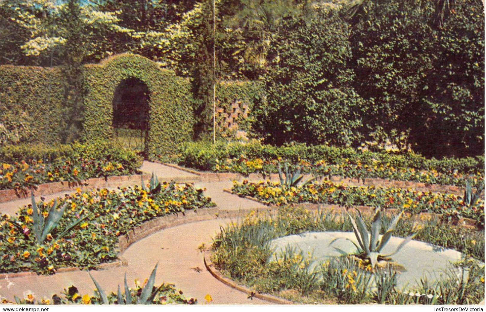 ETATS-UNIS - FLORIDA - The Garden Is One Of The Outstanding Attractions At Killearn Gardens - Carte Postale Ancienne - Other & Unclassified