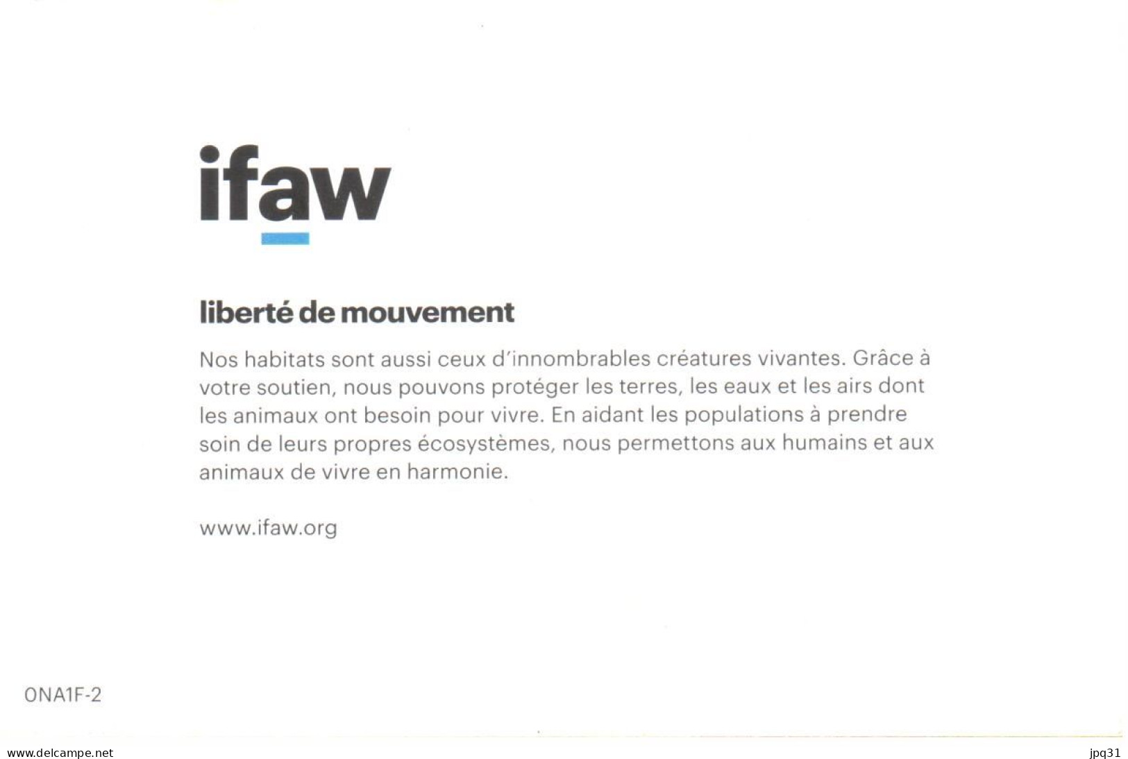 Carte Double IFAW Liberté De Mouvement - Rhinocéros - Ref 0NA1F-2 - Neushoorn