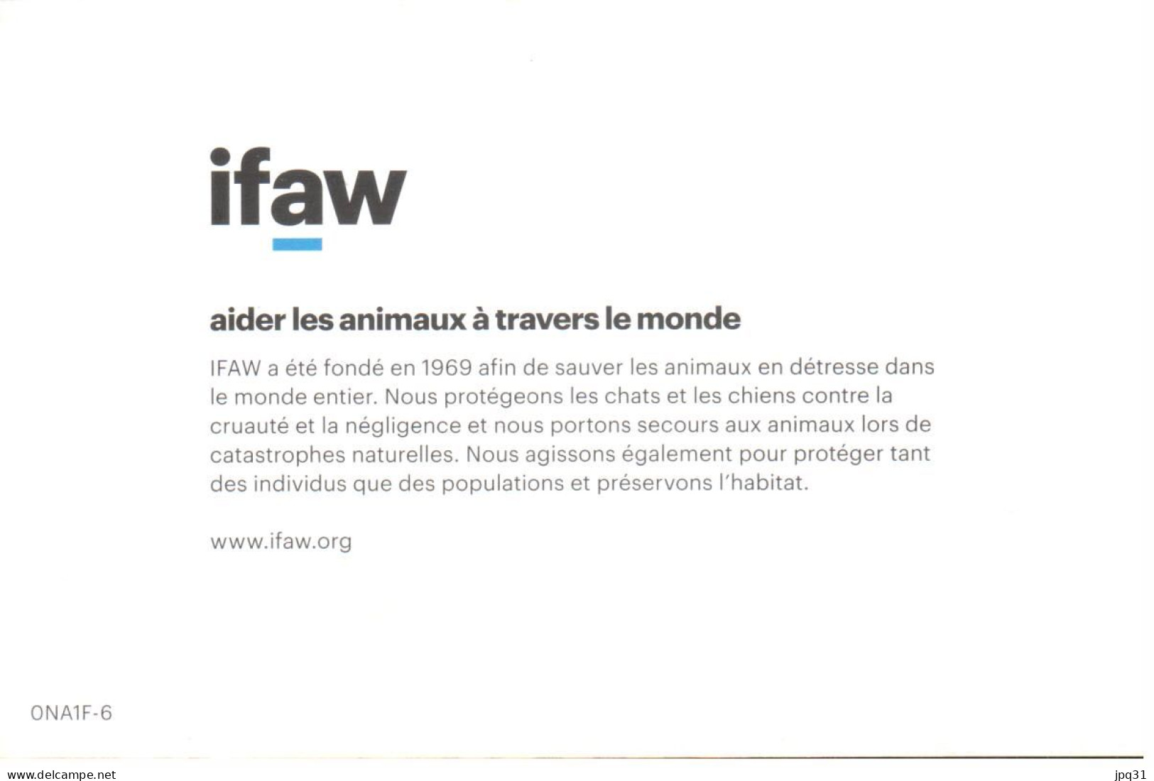 Carte Double IFAW Aider Les Animaux à Travers Le Monde - Zèbres - Ref 0NA1F-6 - Zèbres
