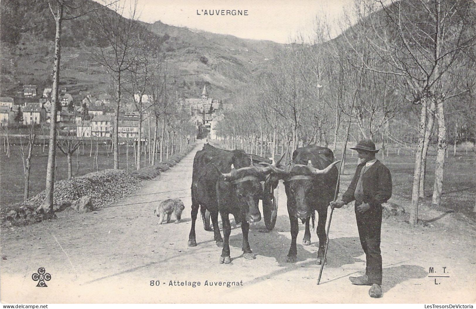 FRANCE - L'Auvergne - Attelage Auvergnat - MTL - Folklore  - Carte Postale Ancienne - Attelages