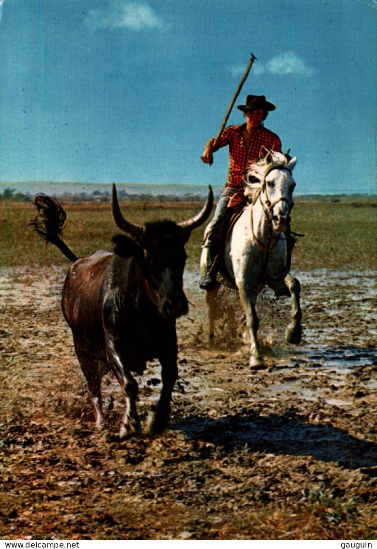 CPM - CHEVAL - La CAMARGUE - Gardian à La Poursuite D'un Taureau - Edition De France - Taureaux