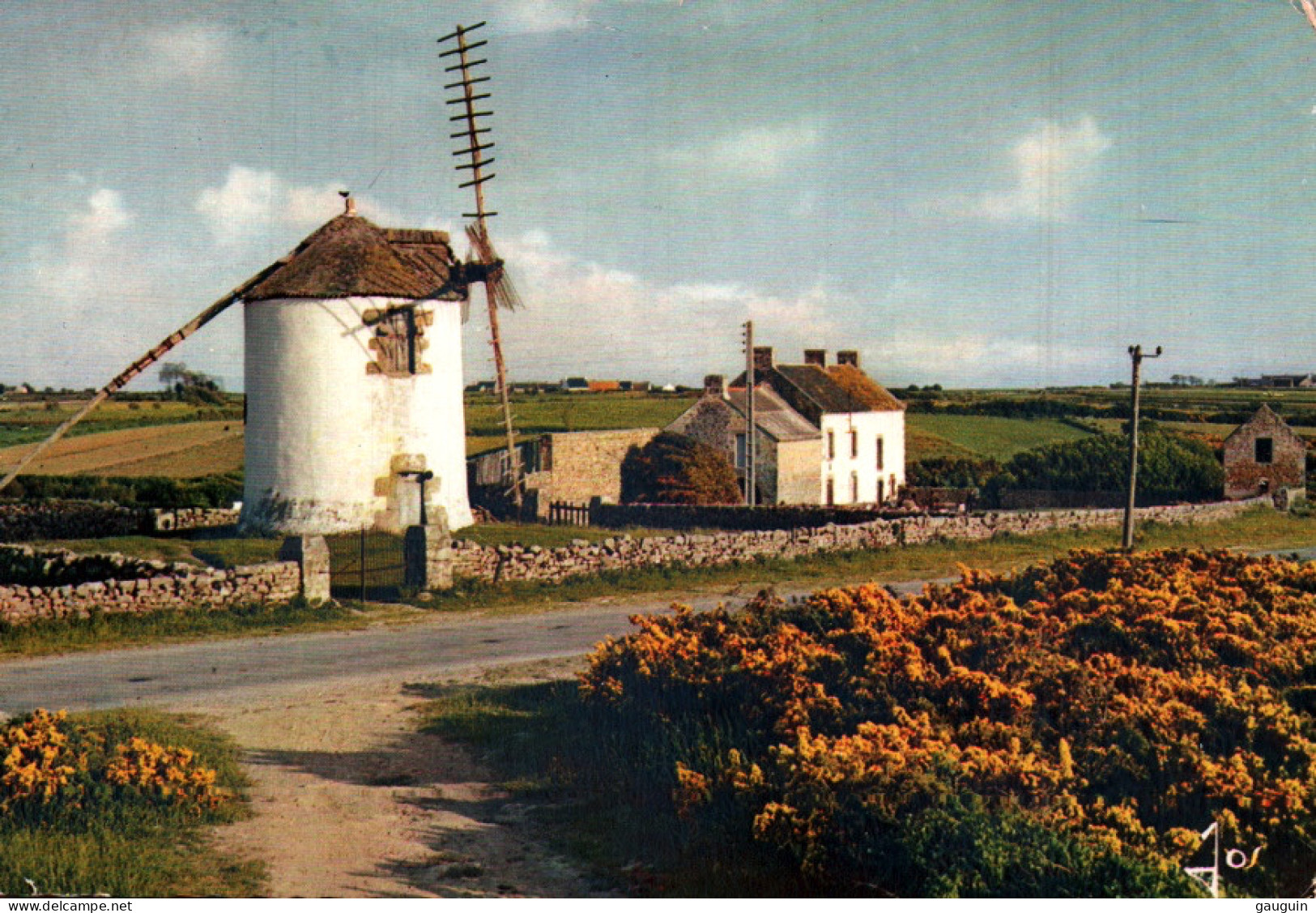 CPM - ERDEVEN - Le Moulin à Vent - Edition Jos Le Doaré - Erdeven