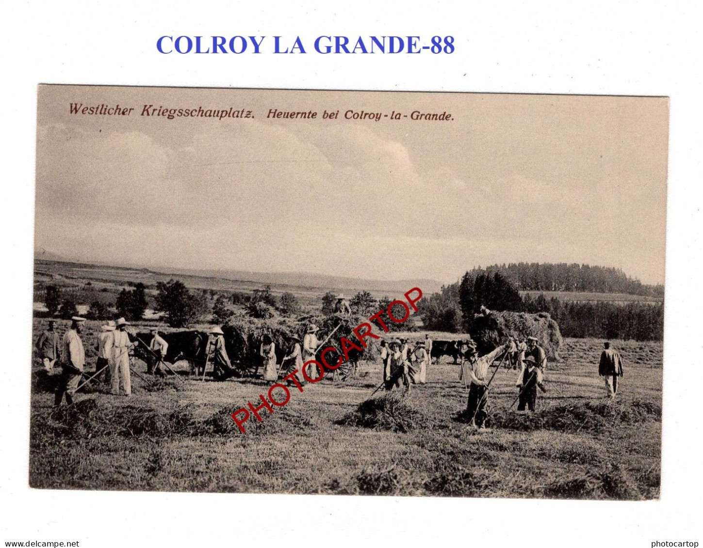 COLROY LA GRANDE-88-FENAISON-CARTE Imprimee Allemande-GUERRE 14-18-1 WK-France-Militaria - Colroy La Grande