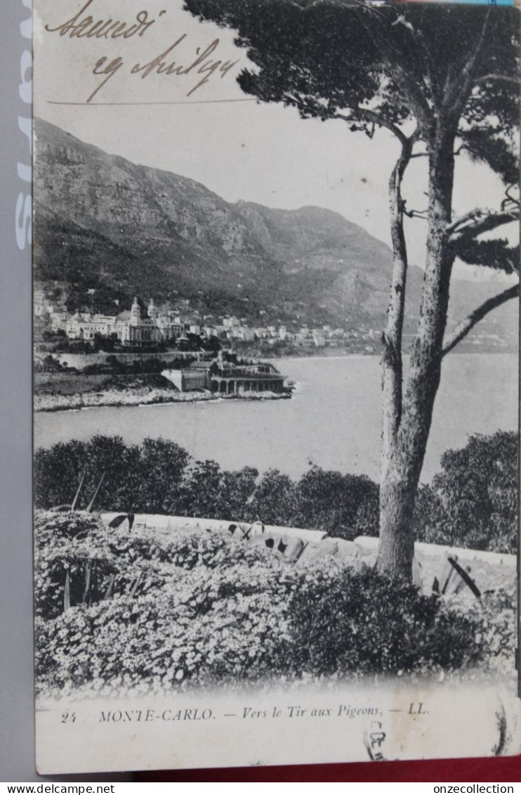 MONTE  CARLO   -       VERS  LE  TIR  AUX  PIGEONS    -              191. - Monte-Carlo