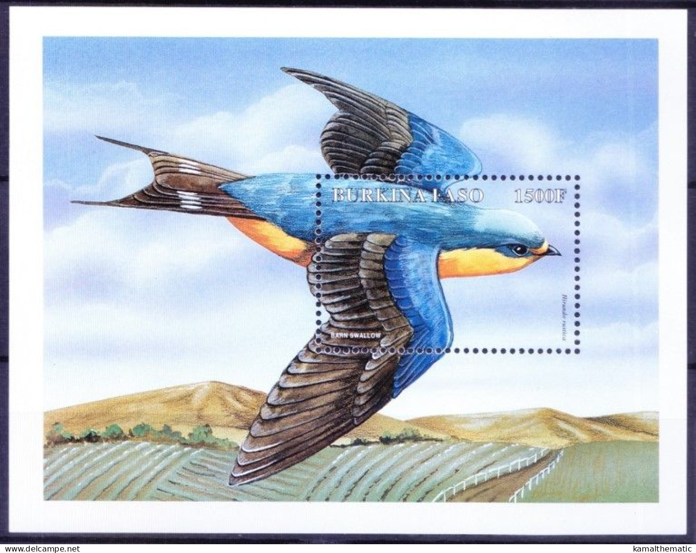 Burkina Faso 1998 MNH MS, Barn Swallow, Sea Birds - Schwalben