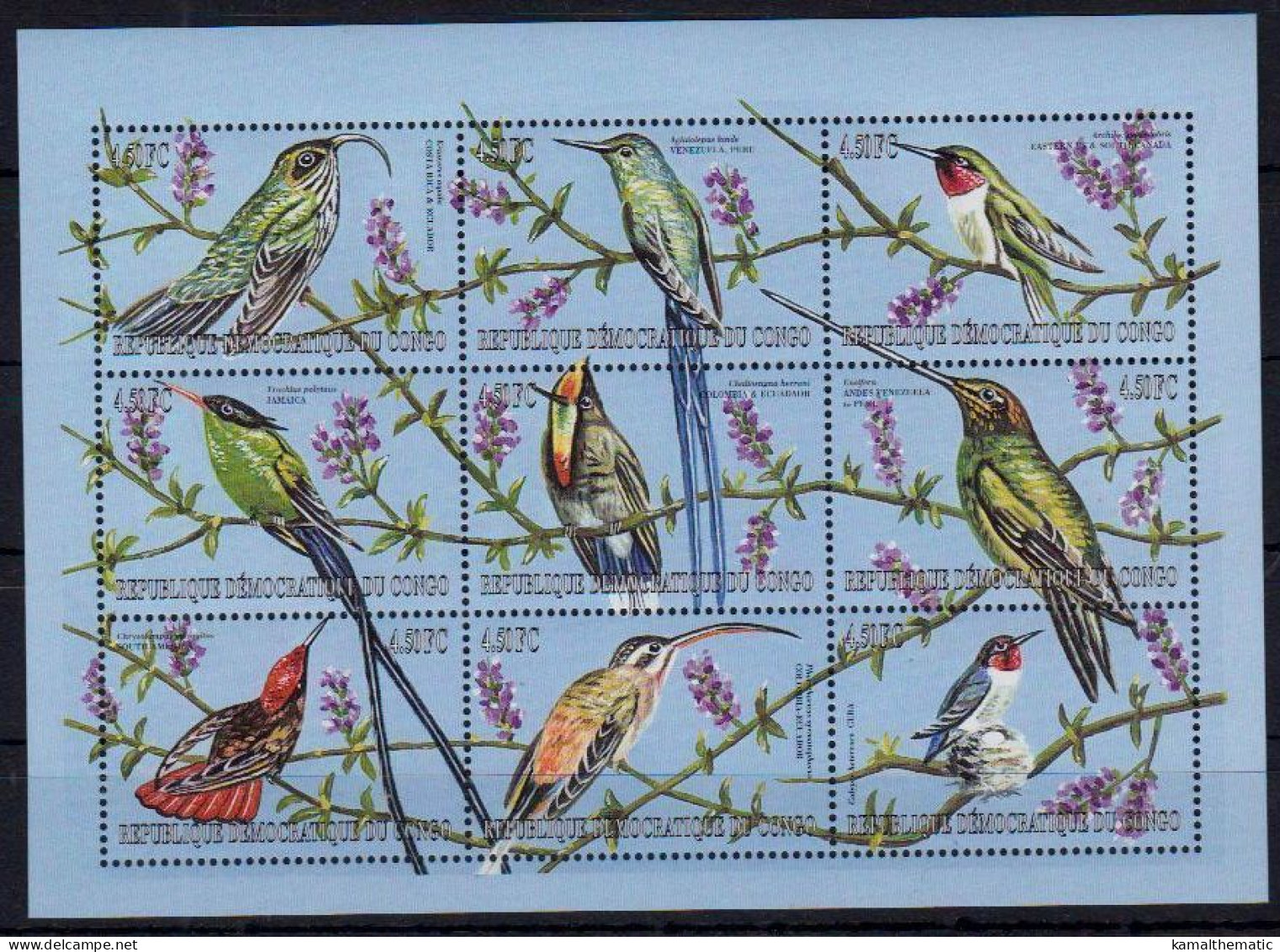 Congo 2000 MNH 9v SS, Birds,Hummingbirds Of America - Colibris