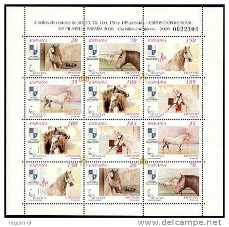 España 3723 ** Caballos 2000. Minipliego 69 - Full Sheets