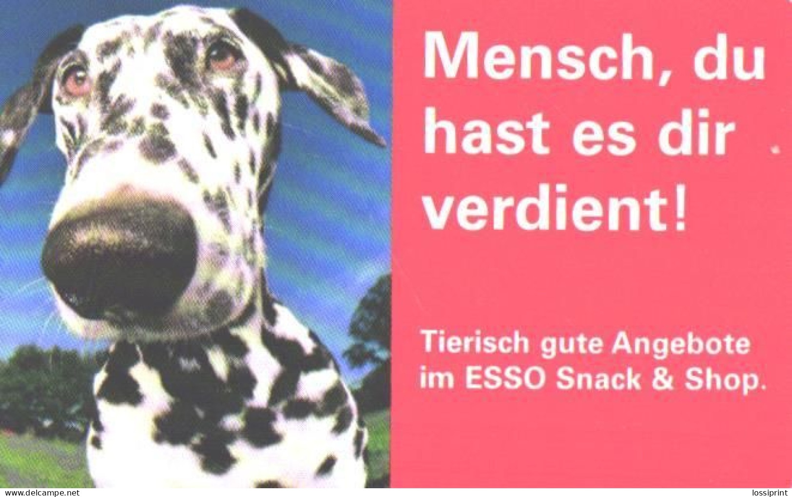 Germany:Used Phonecard, T, 12 DEM, Dog, 2000 - P & PD-Series: Schalterkarten Der Dt. Telekom