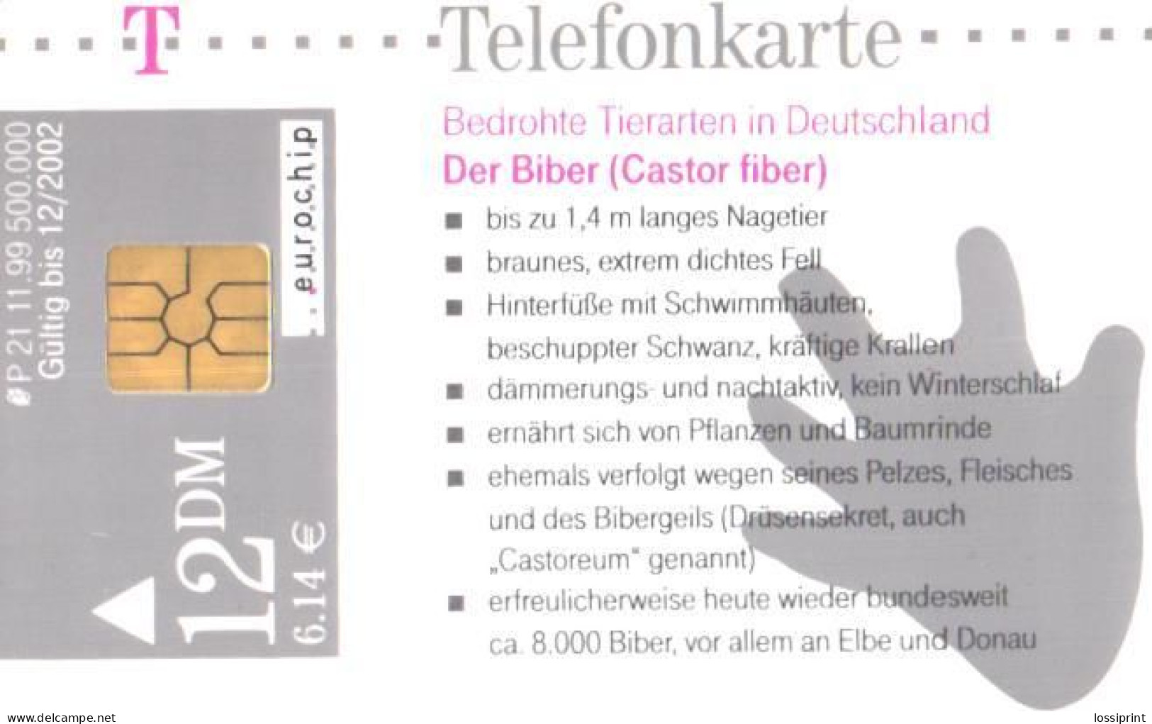 Germany:Used Phonecard, T, 12 DEM, Rodents, 1999 - P & PD-Series: Schalterkarten Der Dt. Telekom