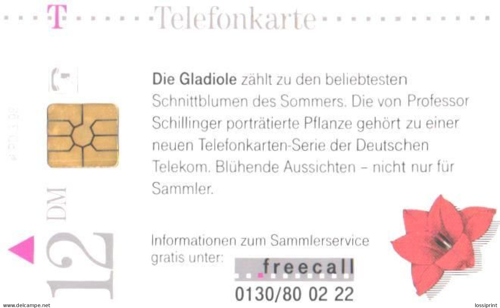 Germany:Used Phonecard, T, 12 DEM, Flower, Gladiolus, 1998 - P & PD-Series: Schalterkarten Der Dt. Telekom