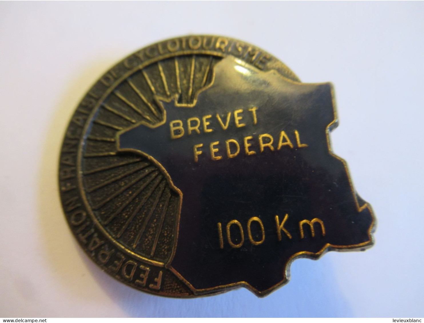 Fédération Française De CYCLO-Tourisme/ Insigne Brevet Fédéral/100 Km / Bronze / BERAUDY /AUBERT / Vers 1980      SPO440 - Ciclismo