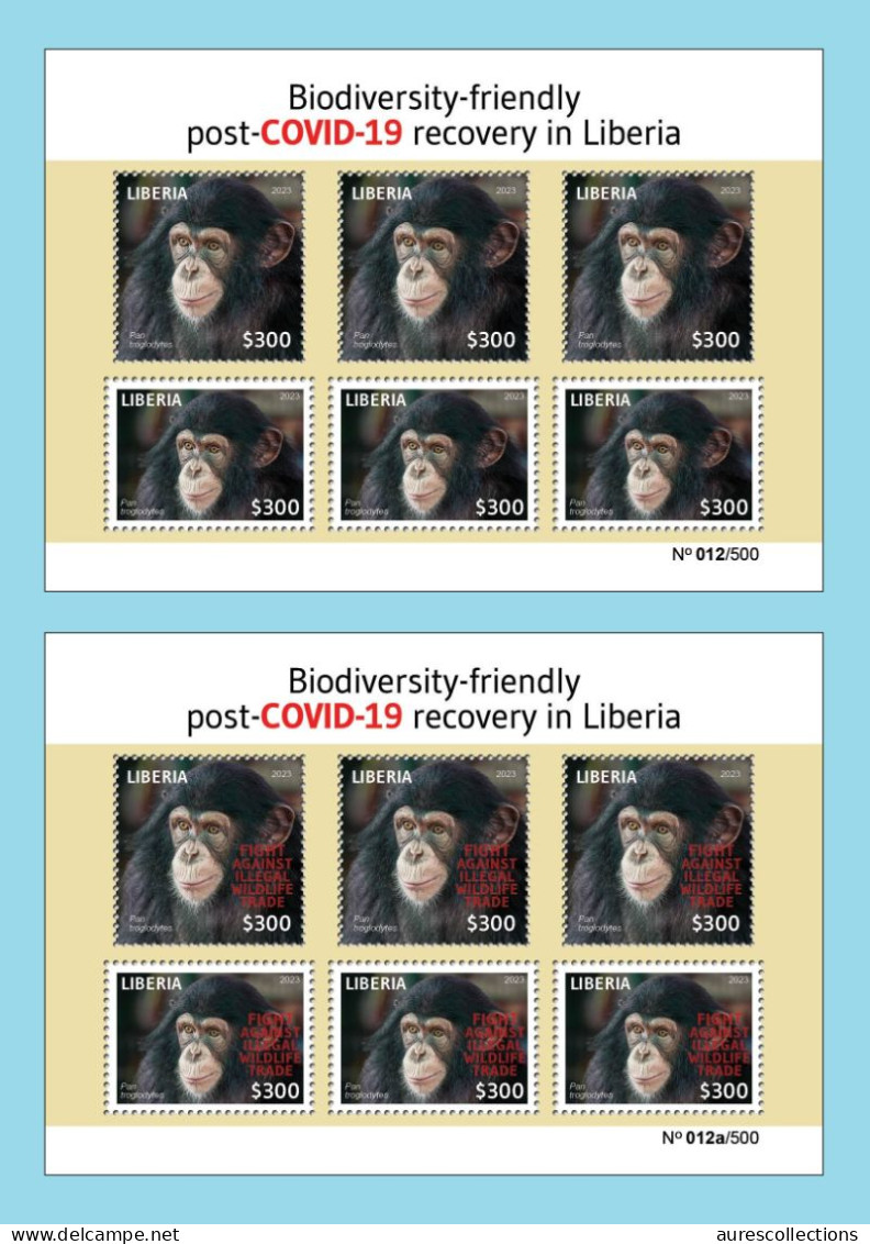 LIBERIA 2023 SHEET 6V (REGULAR & OVERPRINT) PANDEMIC COVID-19 MONKEY MONKEYS APE APES CHIMPANZEE CHIMPANZE MNH - Chimpanzees