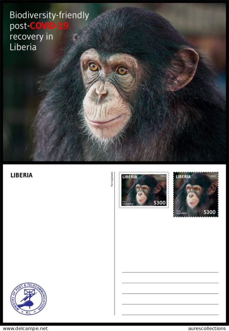 LIBERIA 2023 STATIONERY CARD (REGULAR ONLY) PANDEMIC COVID-19 MONKEY MONKEYS APE APES CHIMPANZEE CHIMPANZE - Scimpanzé