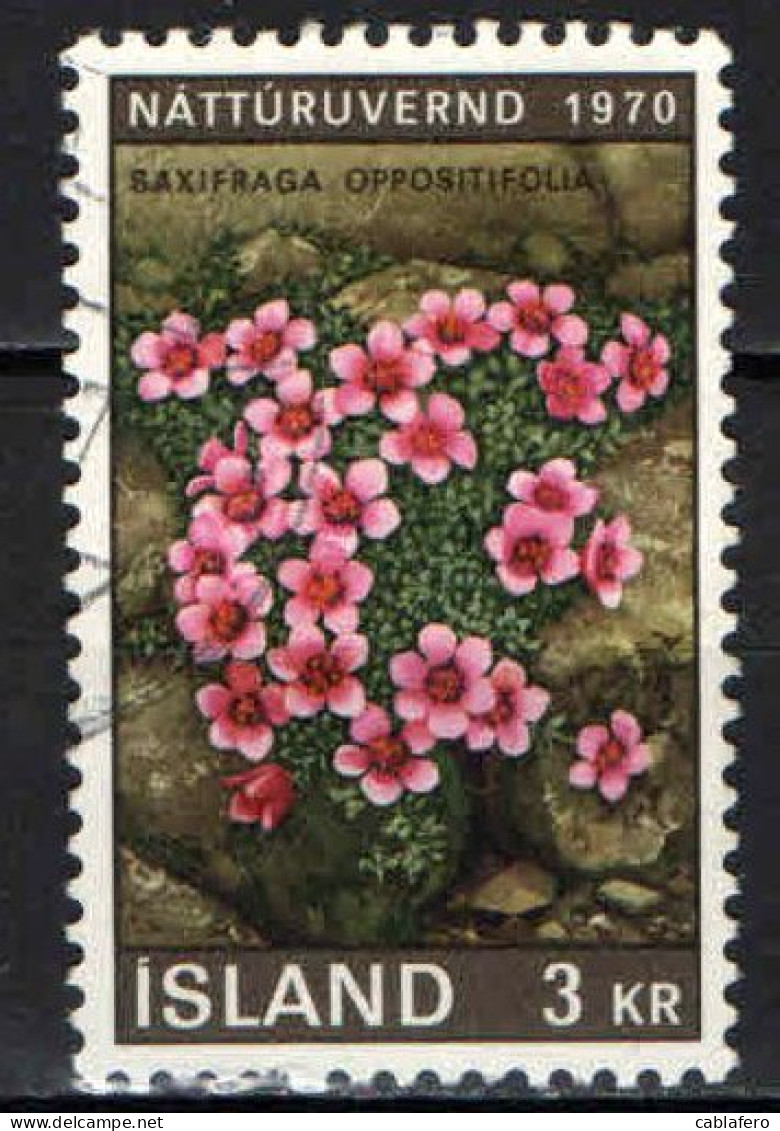 ISLANDA - 1970 - SAXIFRAGA - ANNO EUROPEO PER LA PROTEZIONE DELLA NATURA - USATO - Gebruikt