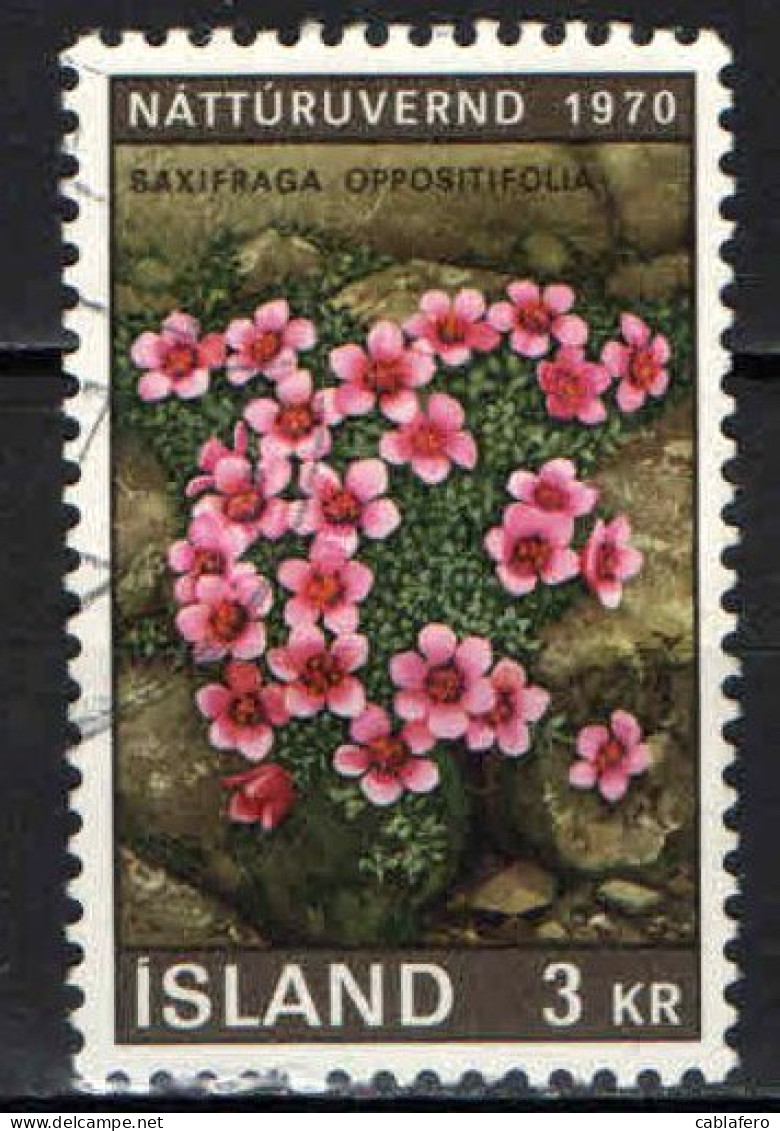 ISLANDA - 1970 - SAXIFRAGA - ANNO EUROPEO PER LA PROTEZIONE DELLA NATURA - USATO - Used Stamps