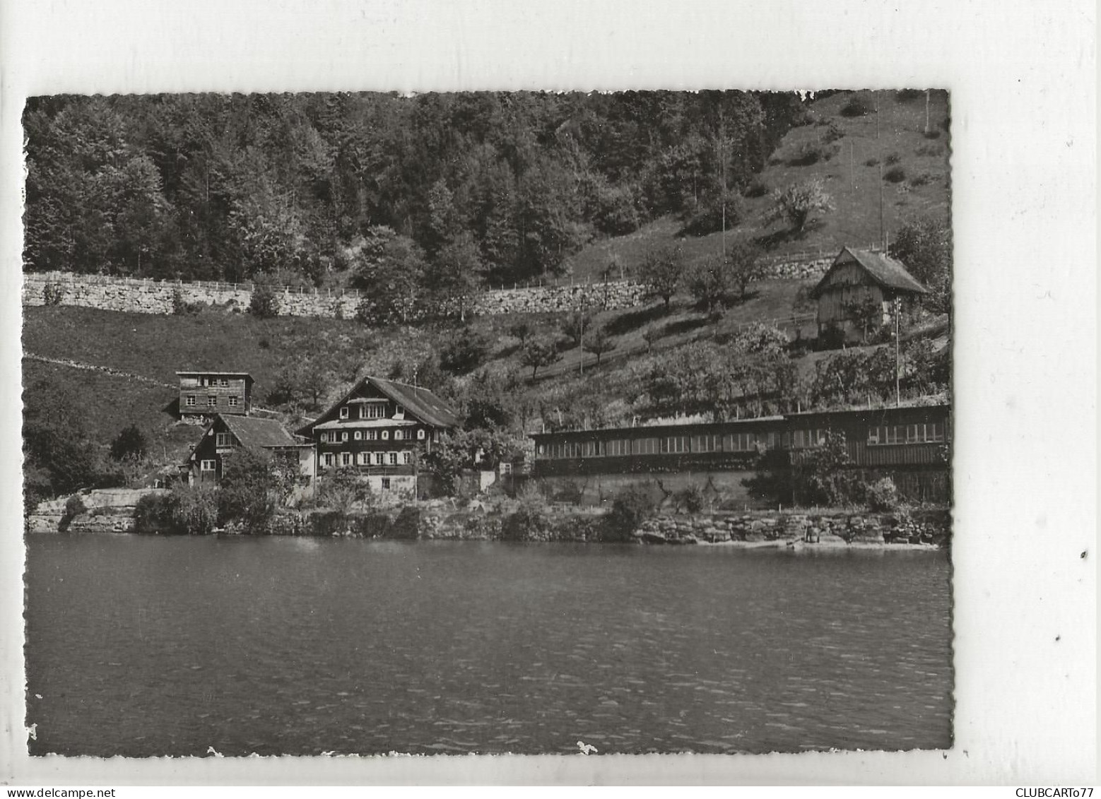 Gersau (Suisse, Schwyz) : Jugendferienheim U. J.H. Rotschuo En 1950 GF. - Gersau