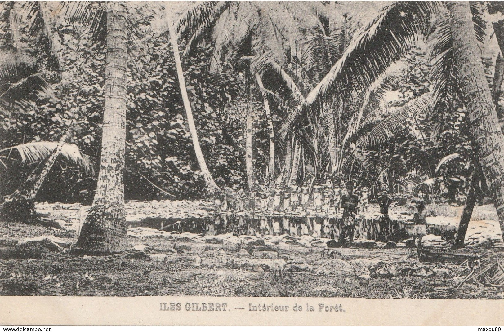 ILES GILBERT  Intérieur De La Forêt - Kiribati