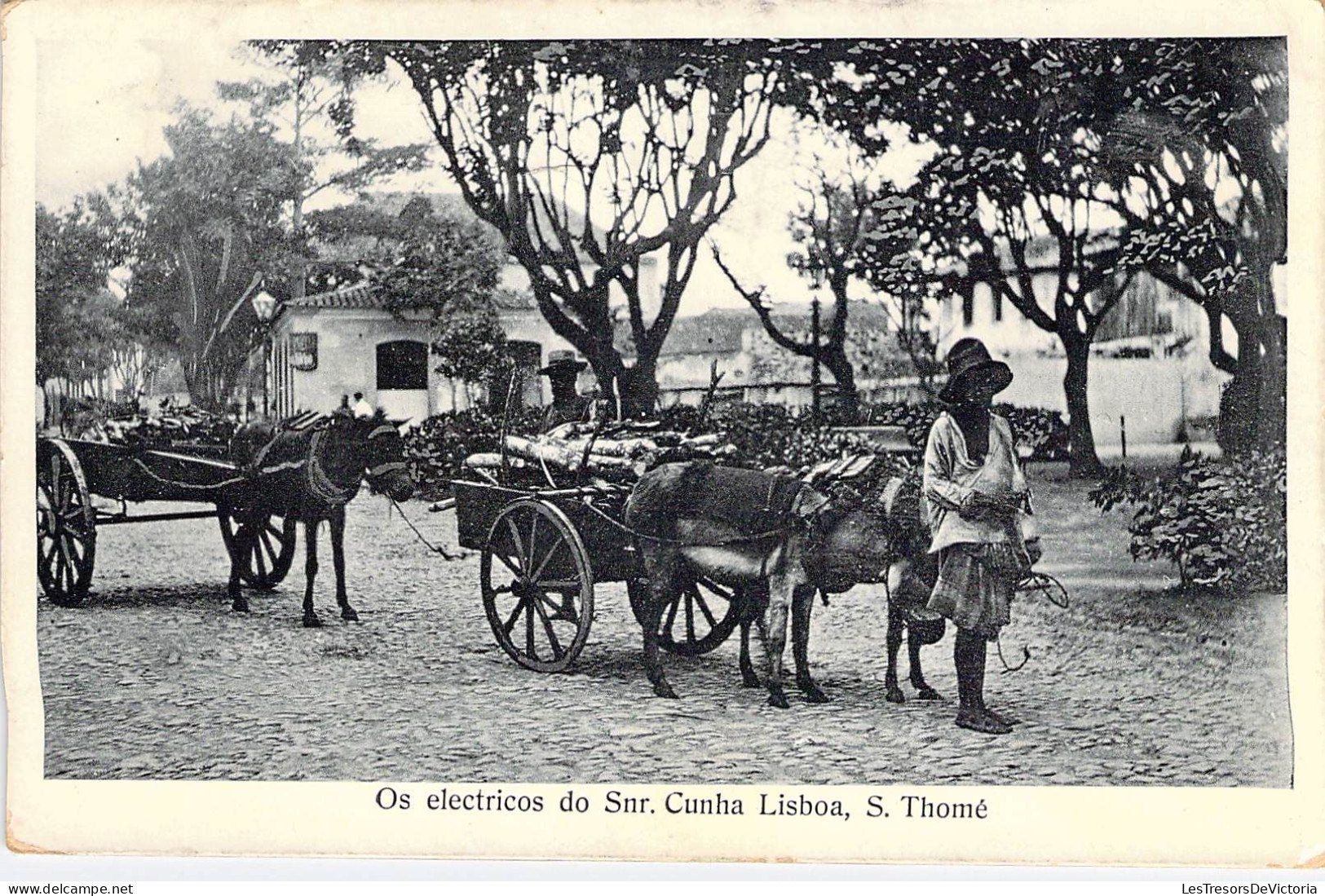 Portugal - Os Electricos Do Snr Cunha Lisboa S. Thomé - Attelage D'âne - Robert Barbier - Carte Postale Ancienne - Santarem