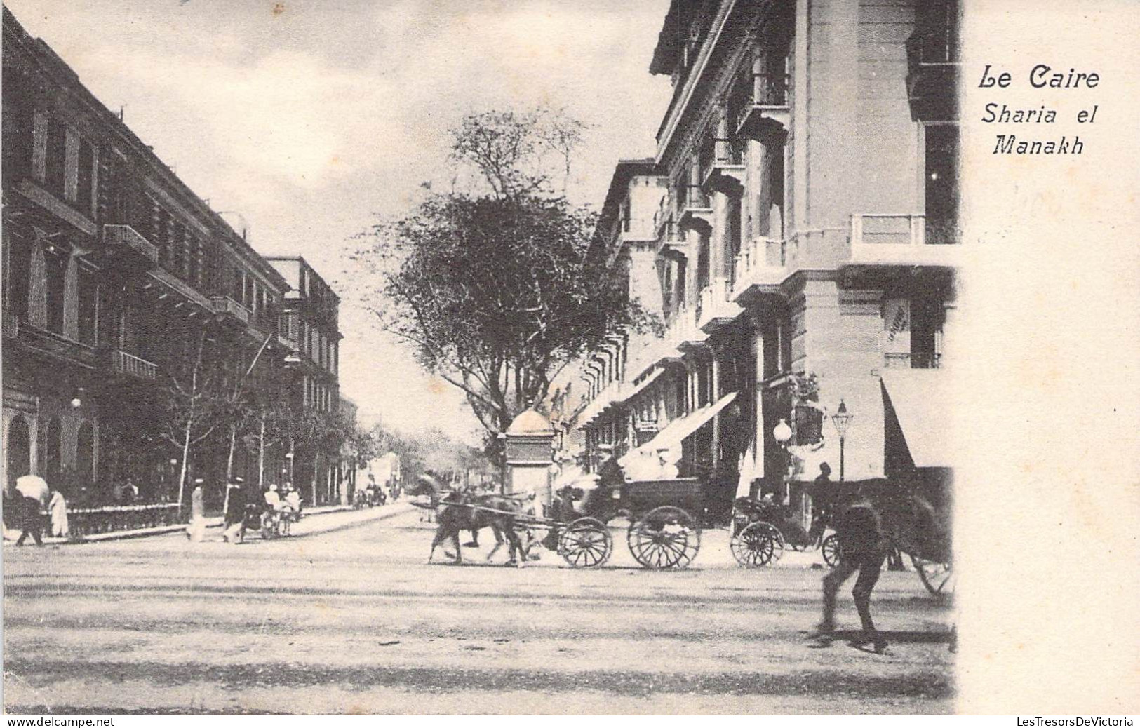 Egypte - Le Caire - Sharia El Manakh - Attelage - Carte Postale Ancienne - El Cairo