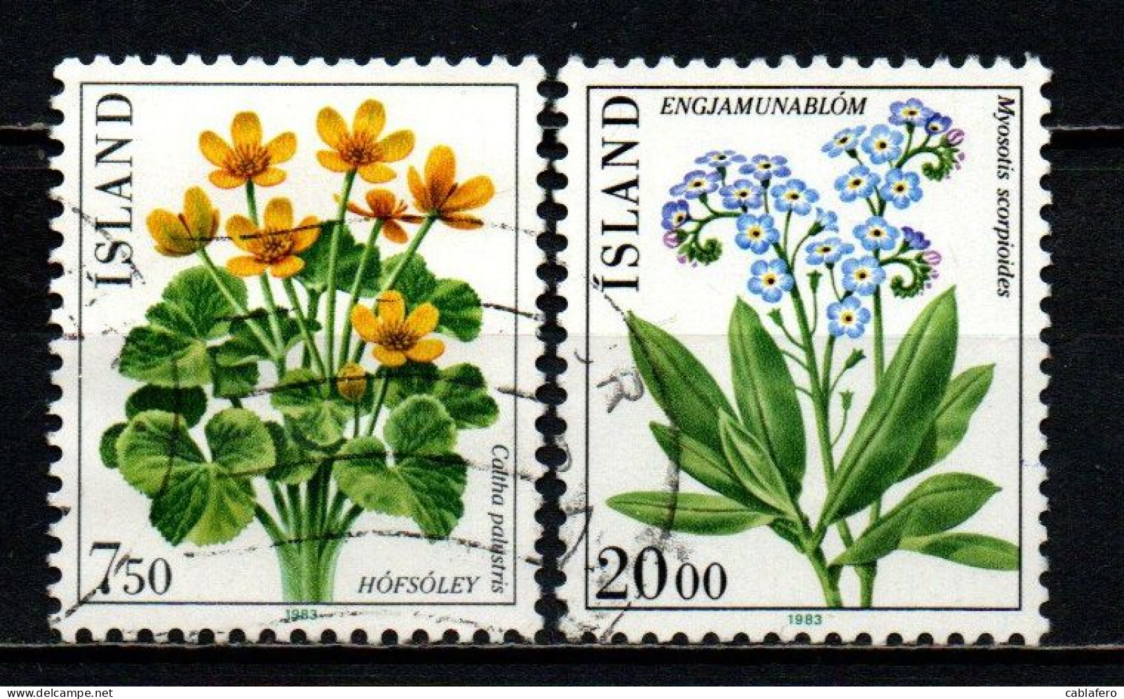 ISLANDA - 1983 - FLORA LOCALE - FLOWERS - USATI - Used Stamps