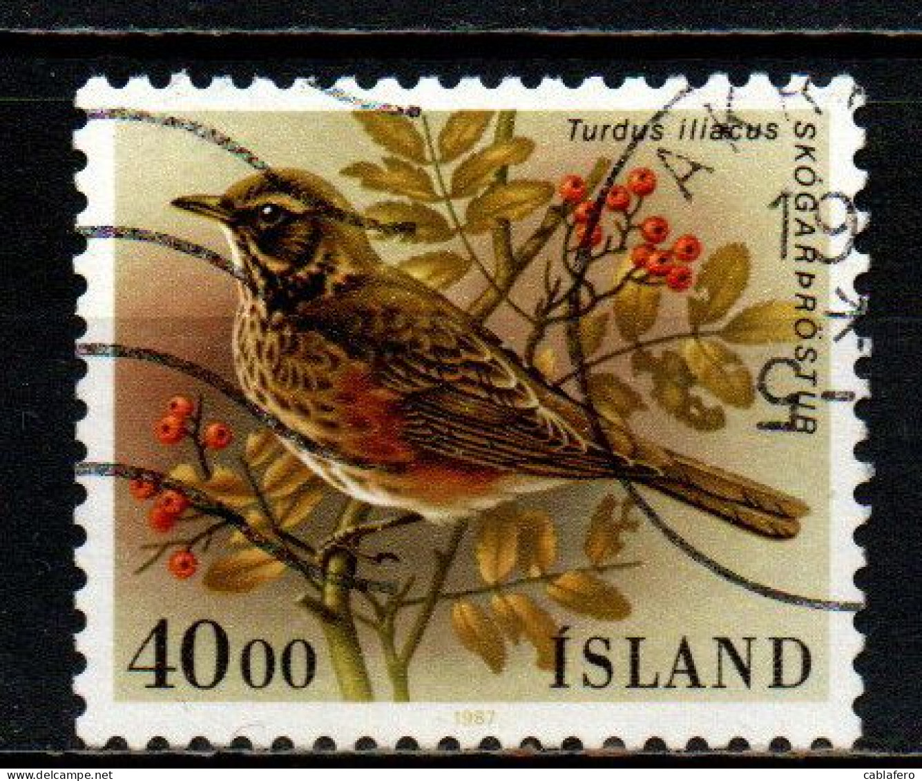 ISLANDA - 1987 - FAUNA LOCALE: TURDUS LIACUS - USATO - Oblitérés