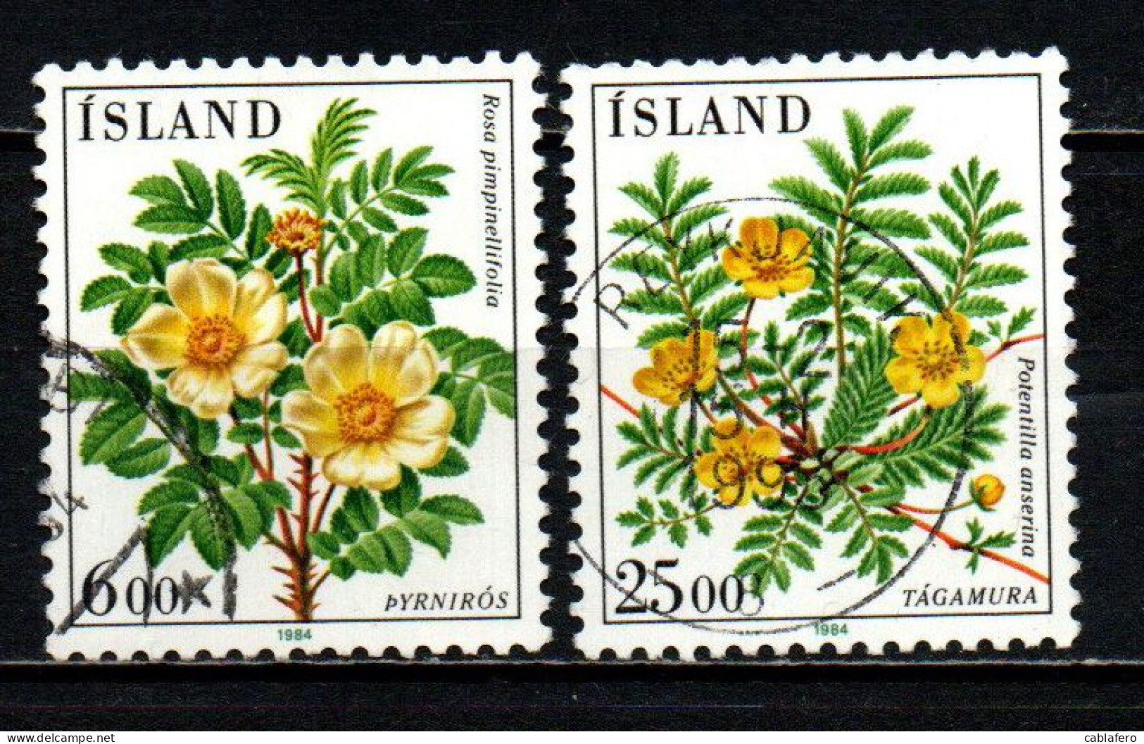 ISLANDA - 1984 - FLORA LOCALE: ROSA PIMPINELLIFOLIA E POTENTILLA ANSERINA - USATI - Oblitérés