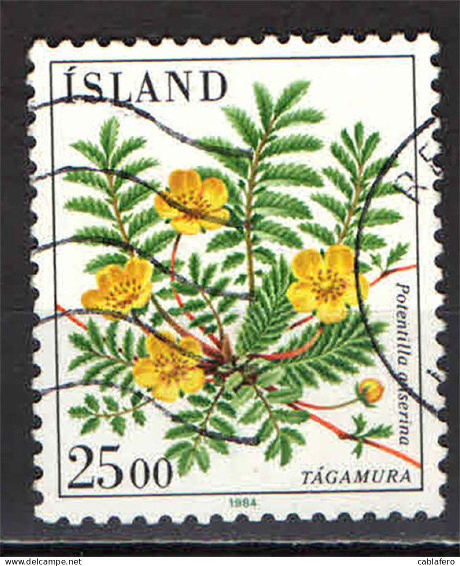 ISLANDA - 1984 - FLORA LOCALE: POTENTILLA ANSERINA - USATO - Used Stamps