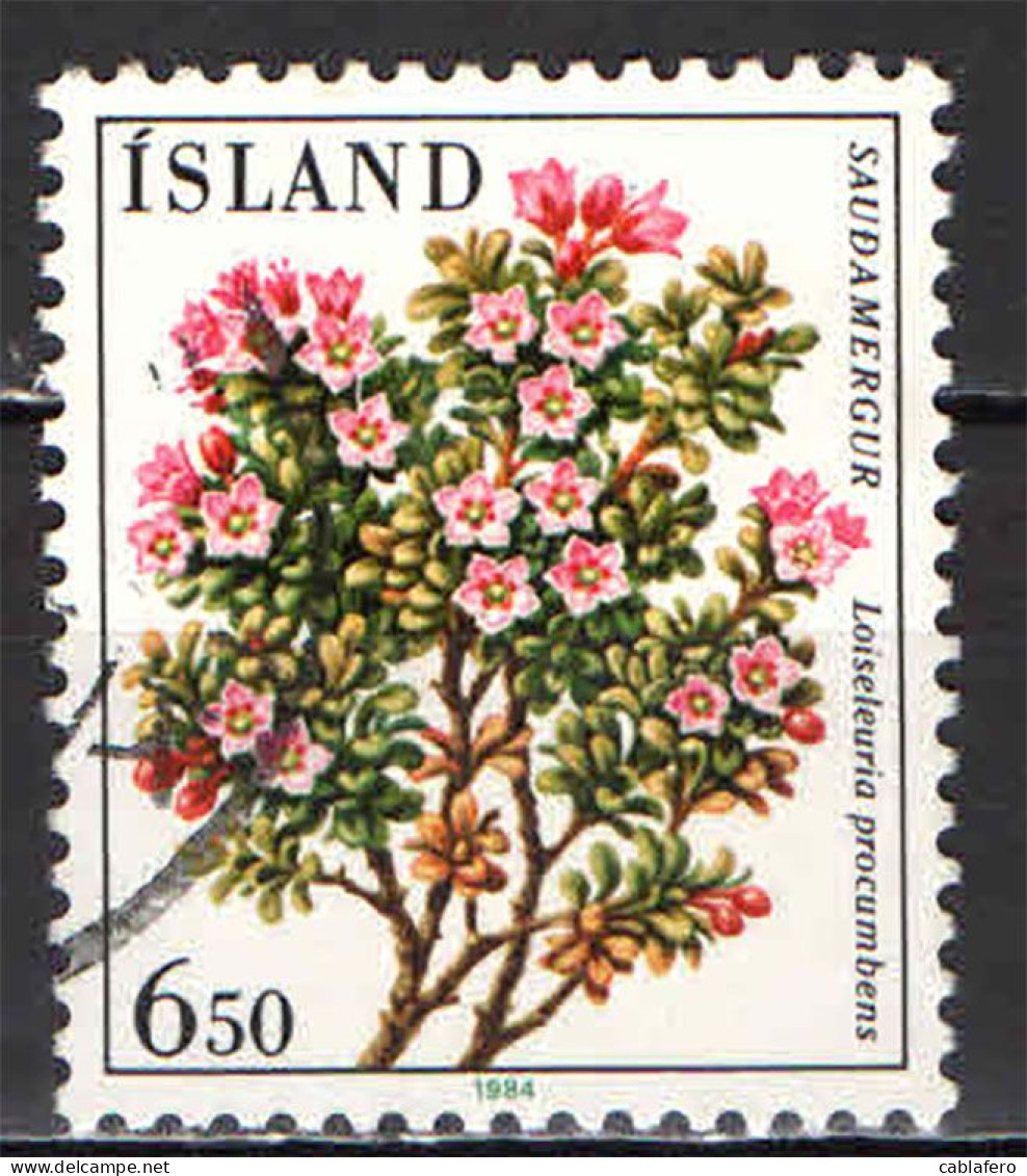 ISLANDA - 1984 - FLORA LOCALE: LOISELEURIA PROCUMBES - USATO - Gebraucht