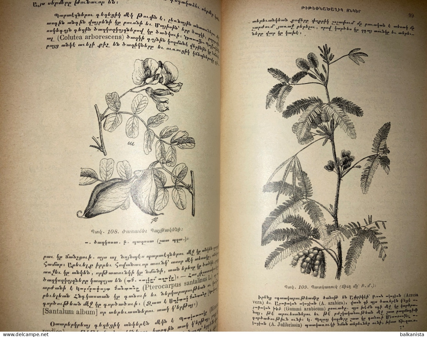 Armenian Illustrated Natural History Botany Gabriel Menevishian 1897