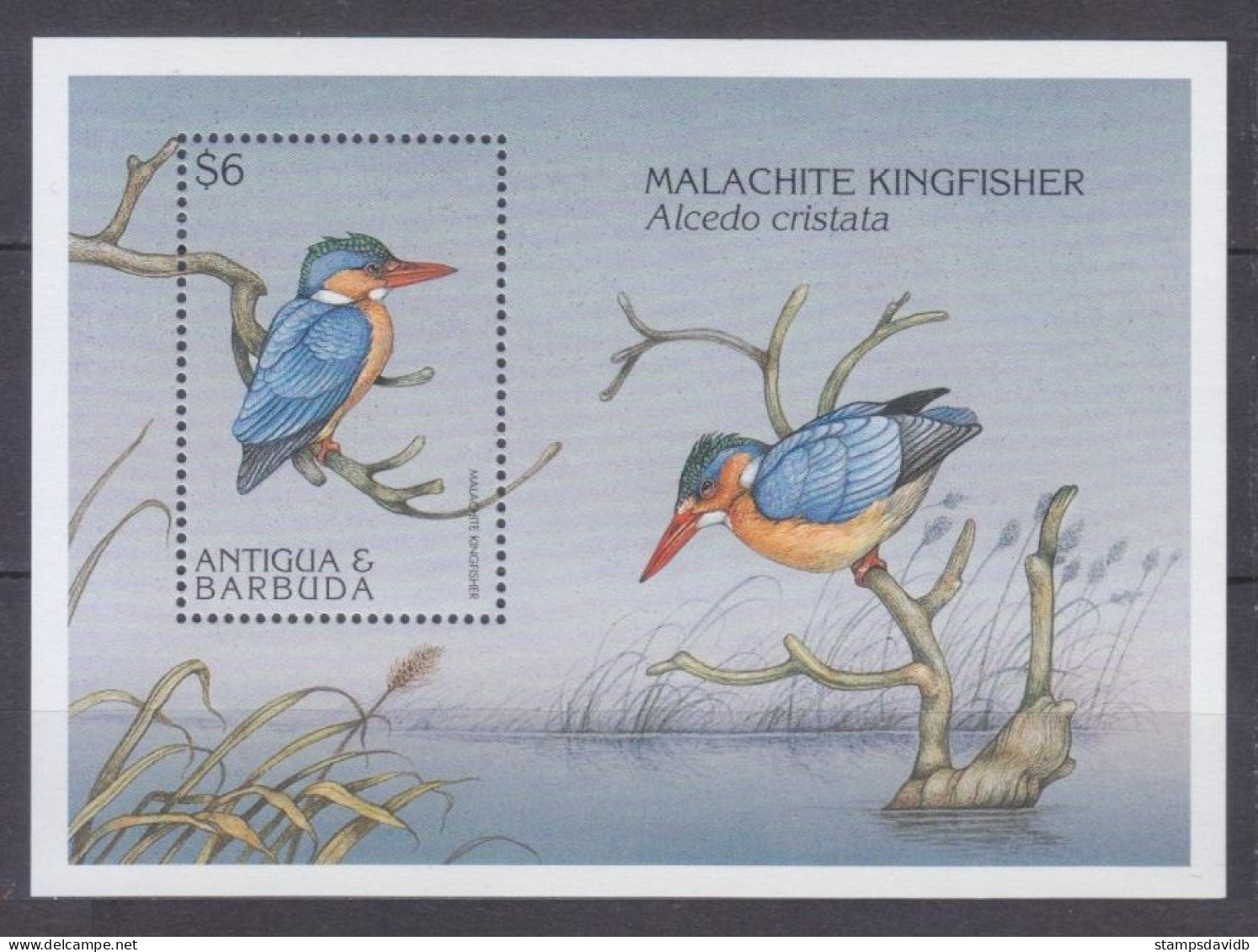 1997 Antigua And Barbuda 2529/B365 Birds 6,00 € - Spechten En Klimvogels