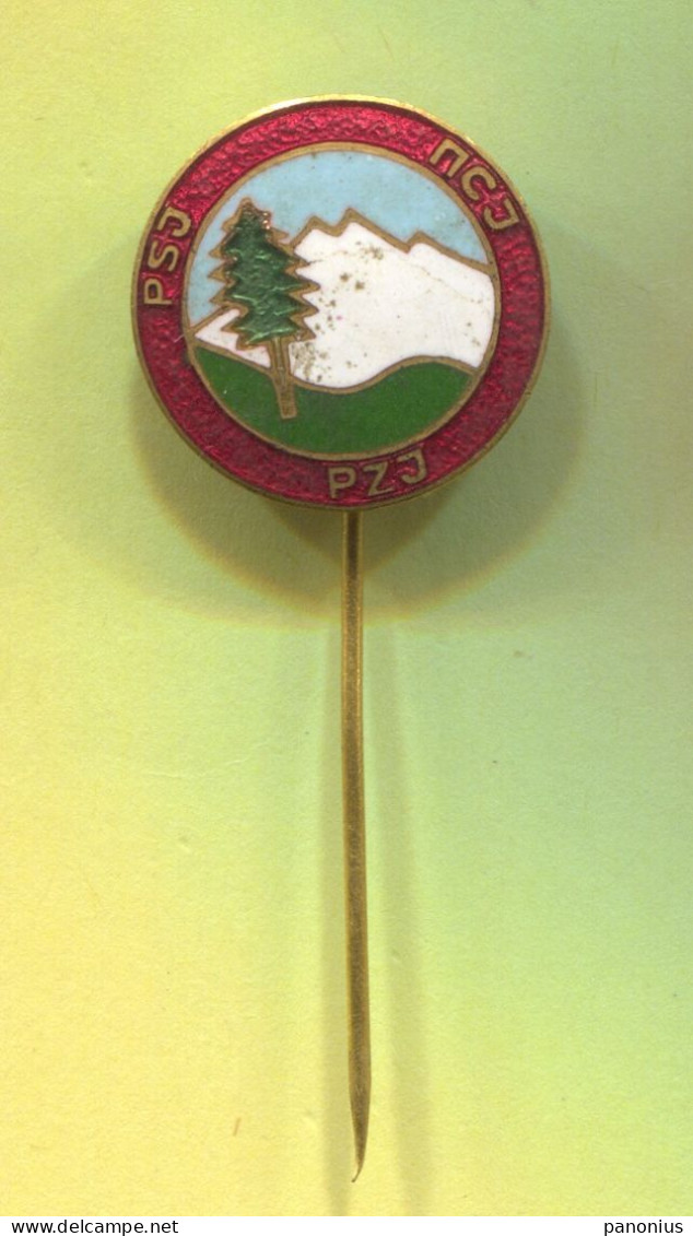 Alpinism Mountaineering - PSJ Yugoslavia Association, Vintage Pin Badge Abzeichen, Enamel - Alpinismo, Escalada