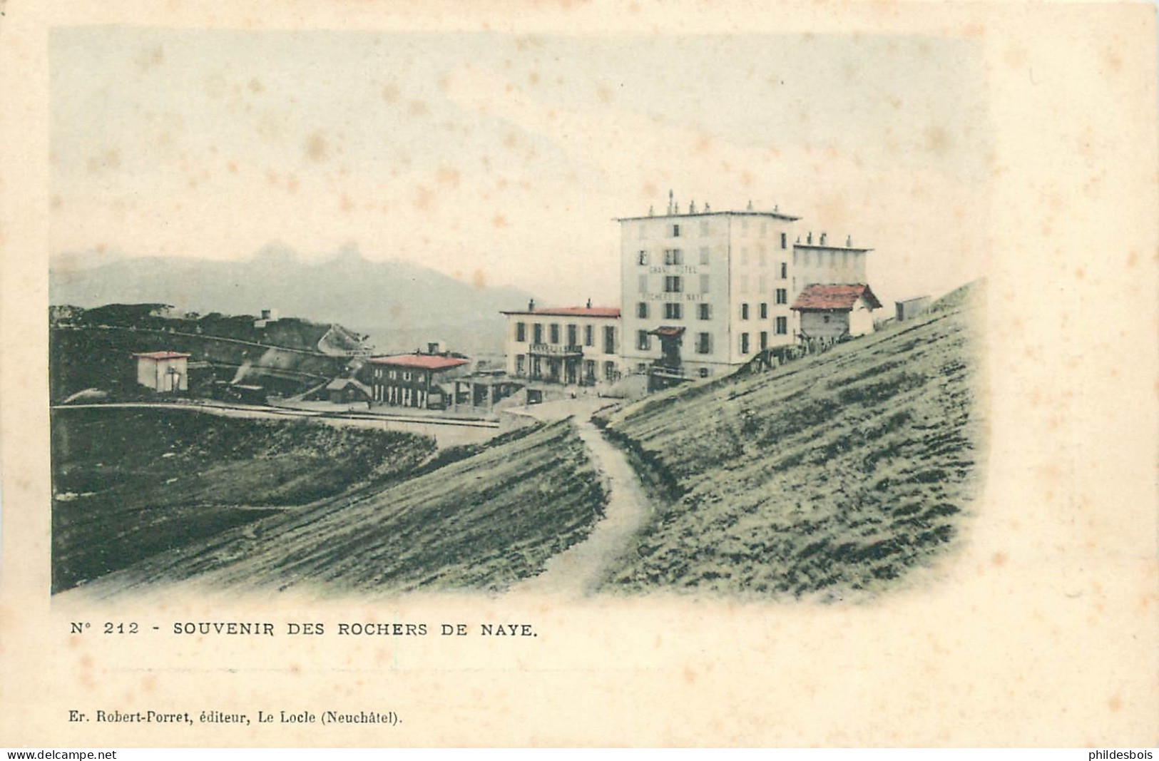 SUISSE  Souvenir Des Rochers De NAYE - Roche