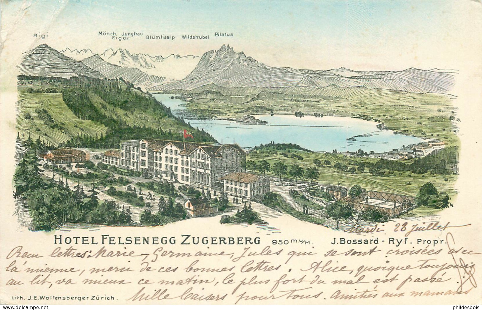 SUISSE  ZUGERBERG  Hotel Felsenegg  (plisupghe) - Zugo