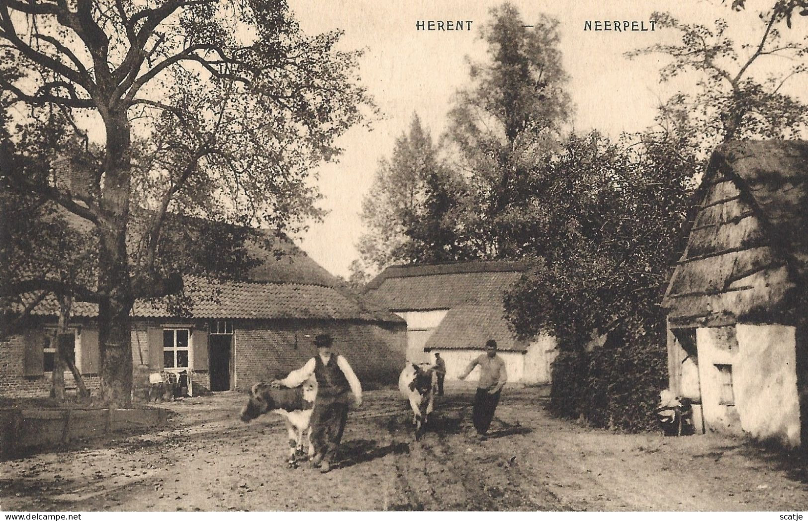 Herent   -   Neerpelt.   -   Boerderij - Neerpelt